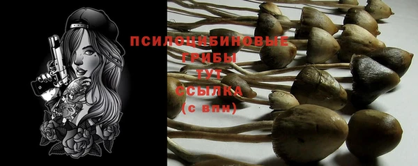 ПСИЛОЦИБИНОВЫЕ ГРИБЫ Белокуриха