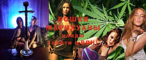 ПСИЛОЦИБИНОВЫЕ ГРИБЫ Белокуриха