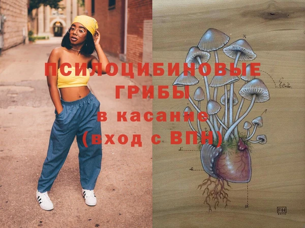ПСИЛОЦИБИНОВЫЕ ГРИБЫ Белокуриха