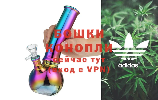 ПСИЛОЦИБИНОВЫЕ ГРИБЫ Белокуриха