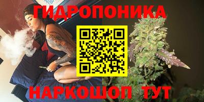 индика Волгодонск