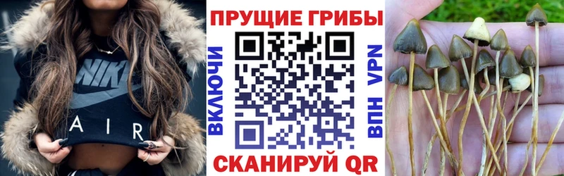 продажа наркотиков  Дальнегорск  Галлюциногенные грибы мухоморы 