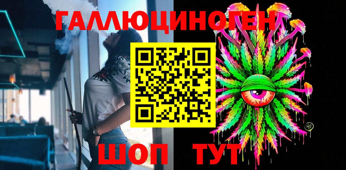 Галлюциногенные грибы Psilocybe Дальнегорск