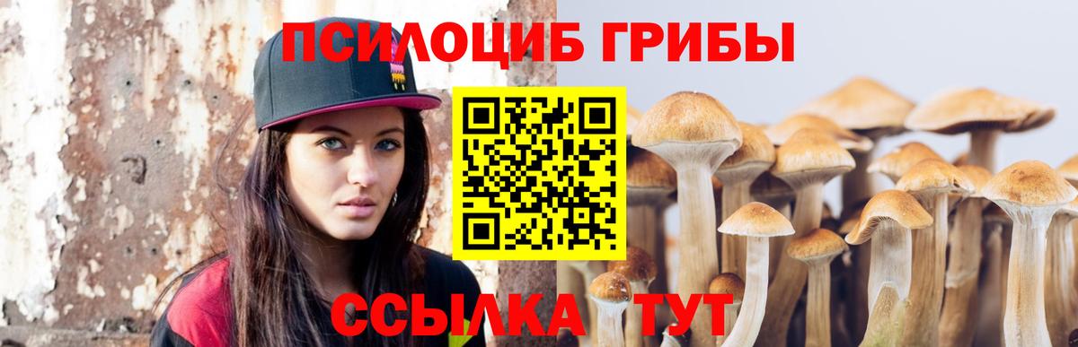 Галлюциногенные грибы Psilocybine cubensis  Псилоцибиновые грибы мухоморы  наркота  Вход с VPN  Дальнегорск 